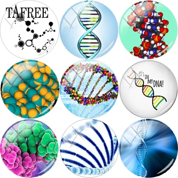 TAFREE Kromozom Biyoloji DNA Resim Cam Cabochon Dome 12mm-20mm Düz Geri Yapımı Bulguları DIY Boncuk